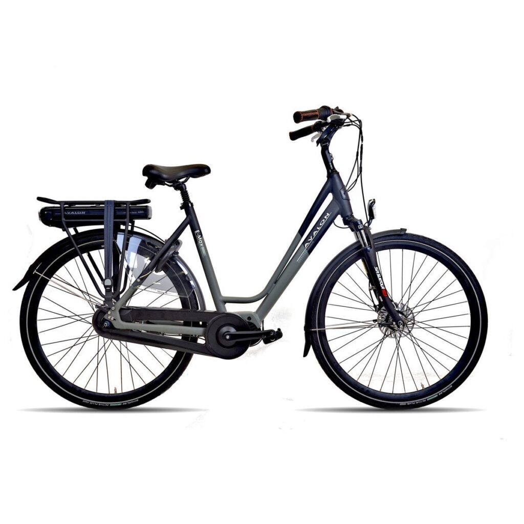 Avalon E-Max 300 Grijs/Groen Dames 2025