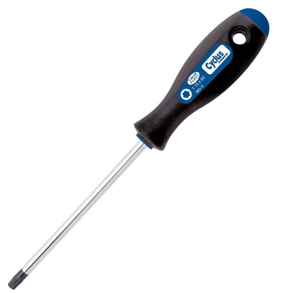 Cyclus torxsleutel T-25 L=100mm Blauw
