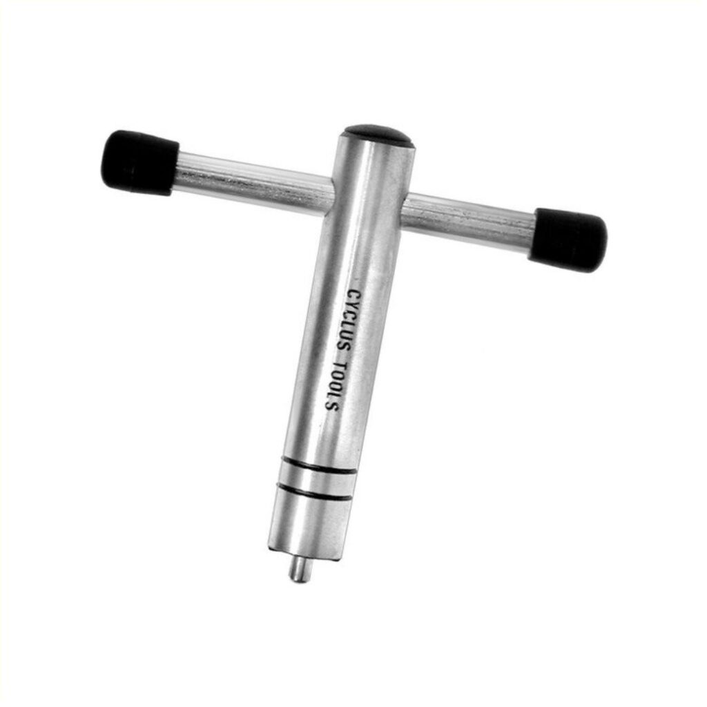 Cyclus bladbout sleutel Zilver