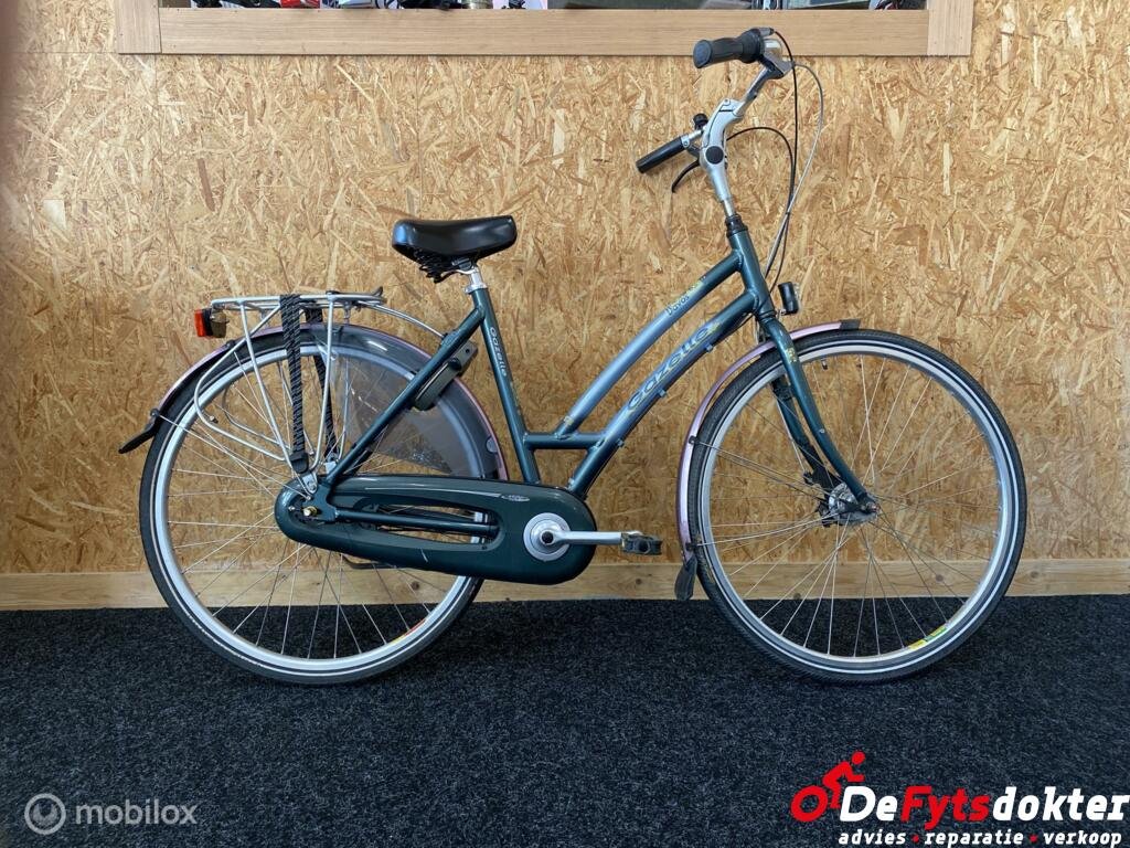 Gazelle Davos Dames