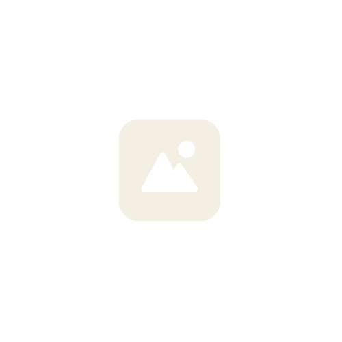 Impac bnb 18×1.75 av AV18