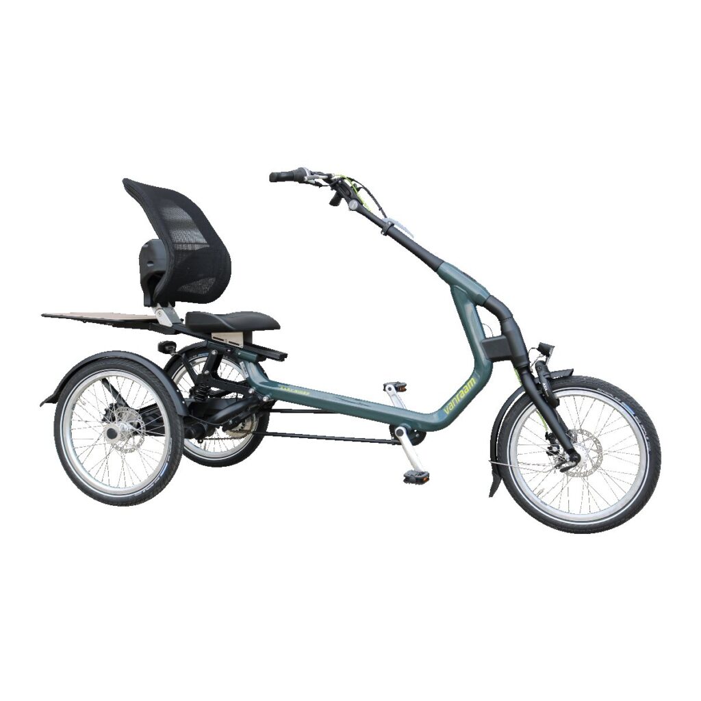 Van Raam Easyrider 3 Wijn Rood Mat Dames 2025
