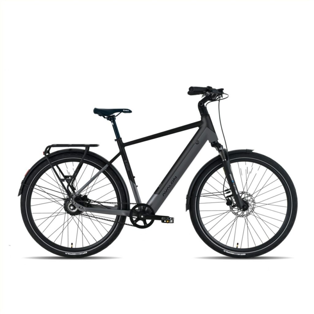 Avalon E-Flow mat Heren 2026