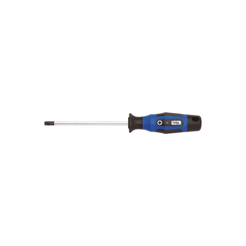 Cyclus torxsleutel T-25 L=100mm
